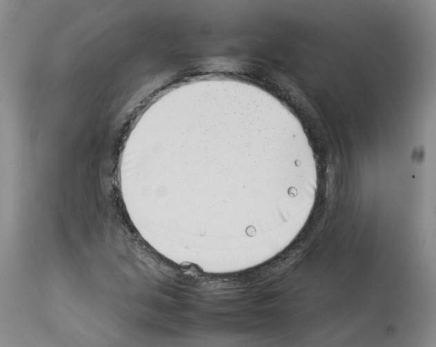 X0000114011213200911131156