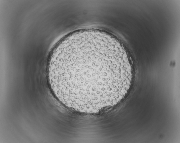 X0000114011216200911131156