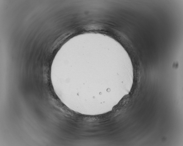 X0000114011217200911131156