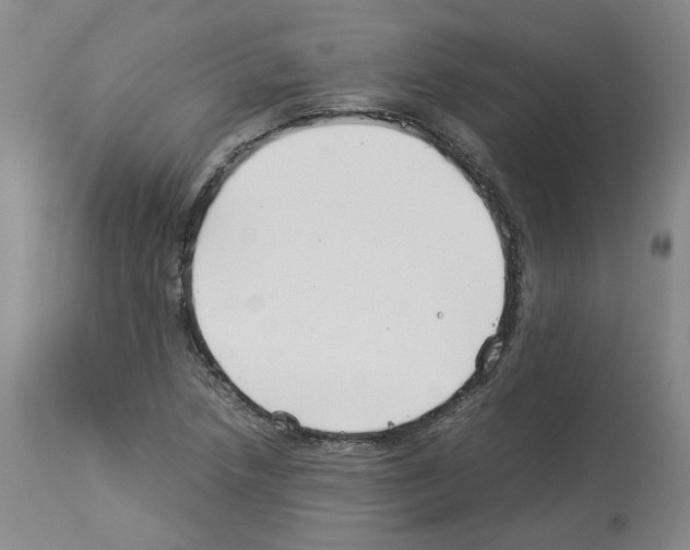 X0000114011218200911131156