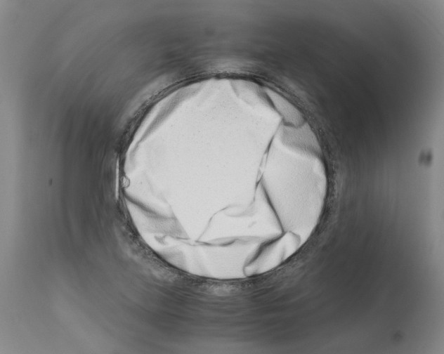 X0000114011219200911131156