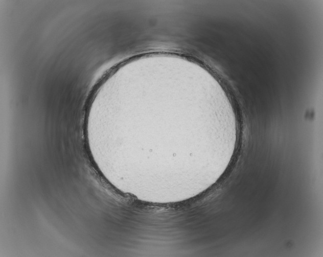 X0000114011222200911131156