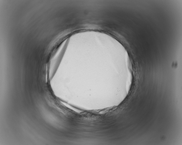 X0000114011223200911131156