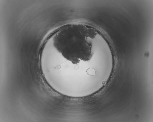 X0000114011224200911131156