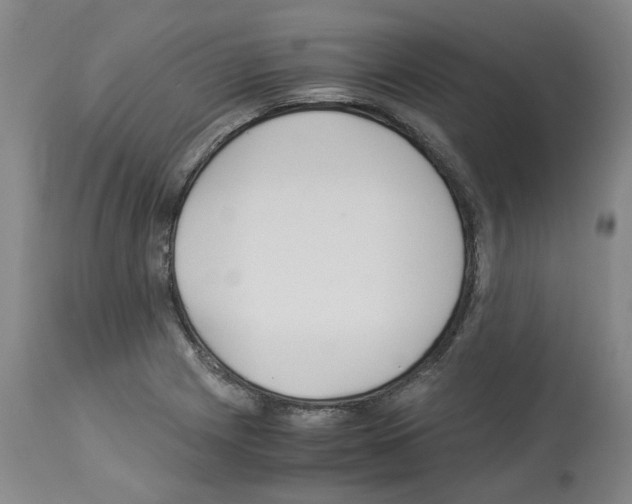 X0000114011225200911131156