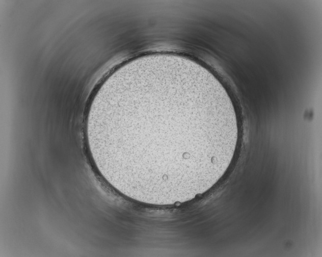 X0000114011229200911131156