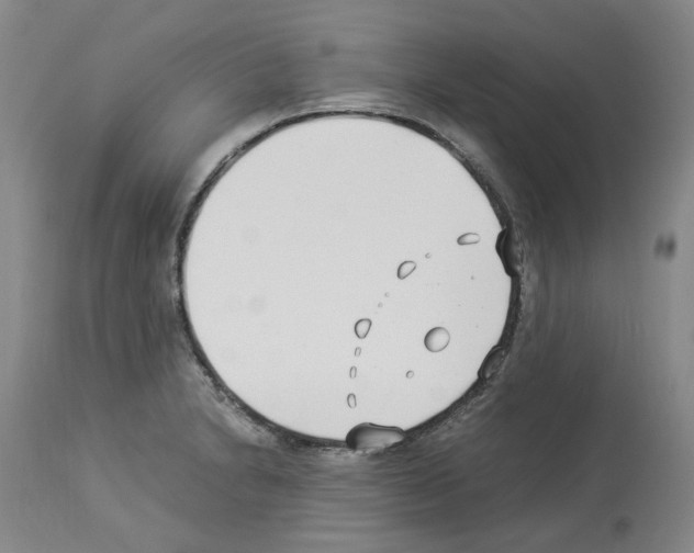 X0000114011230200911131156