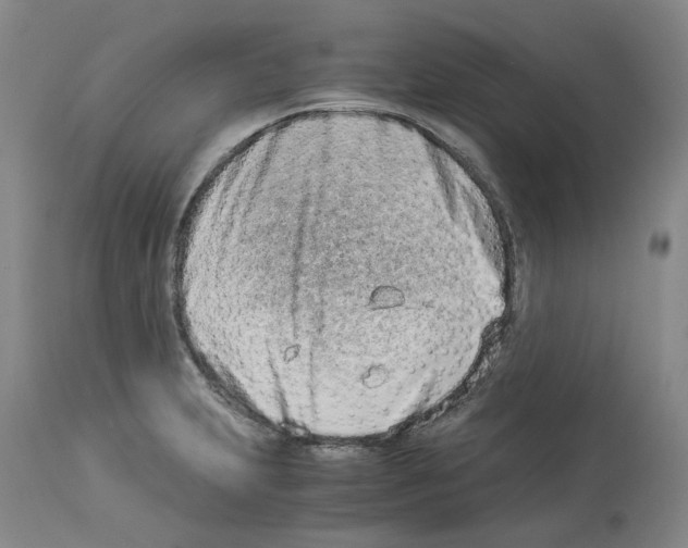 X0000114011231200911131156