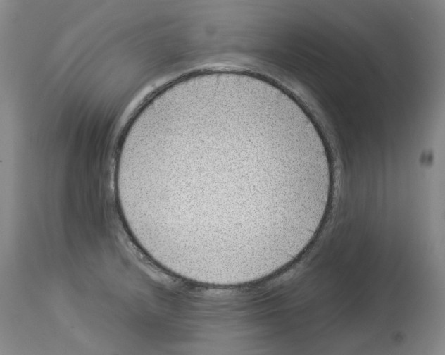 X0000114011232200911131156