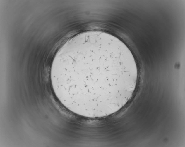 X0000114011233200911131156