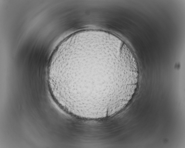 X0000114011239200911131156