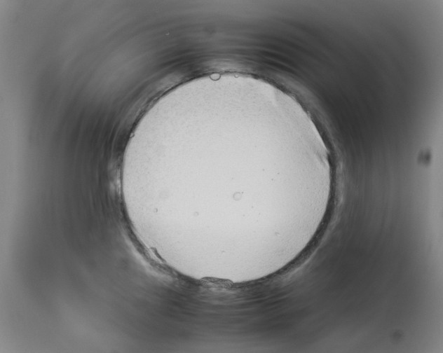 X0000114011241200911131156