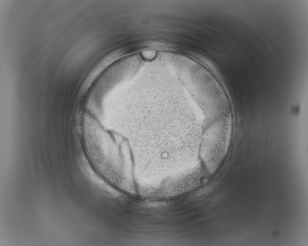 X0000114011243200911131156