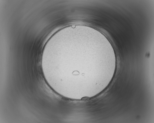 X0000114011244200911131156