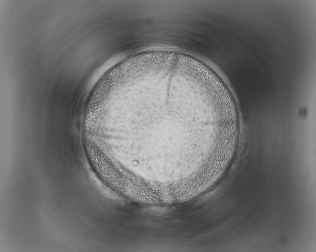 X0000114011245200911131156