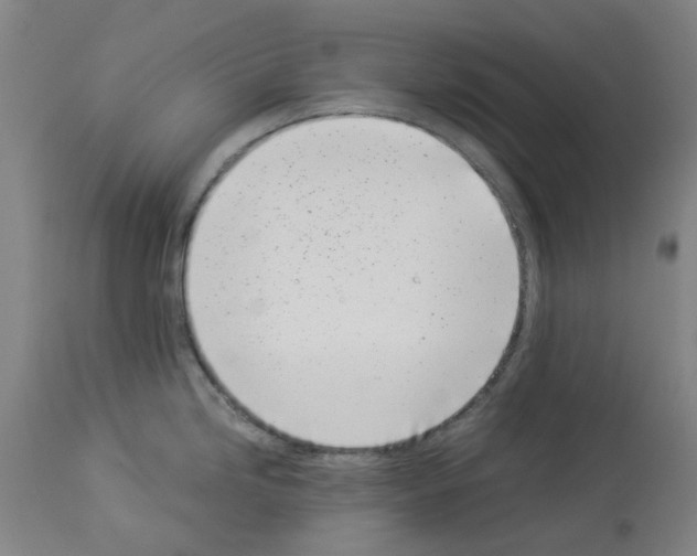 X0000114011246200911131156