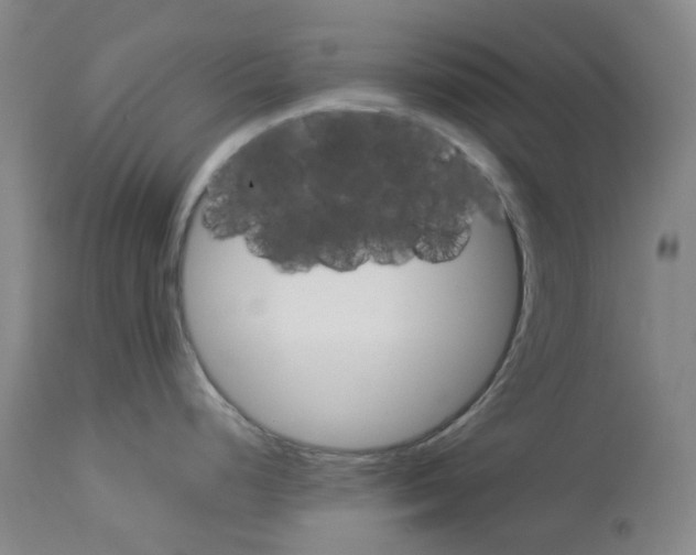 X0000114011248200911131156