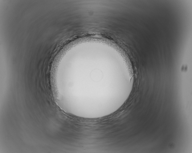 X0000114011249200911131156