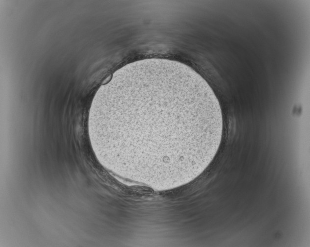 X0000114011250200911131155