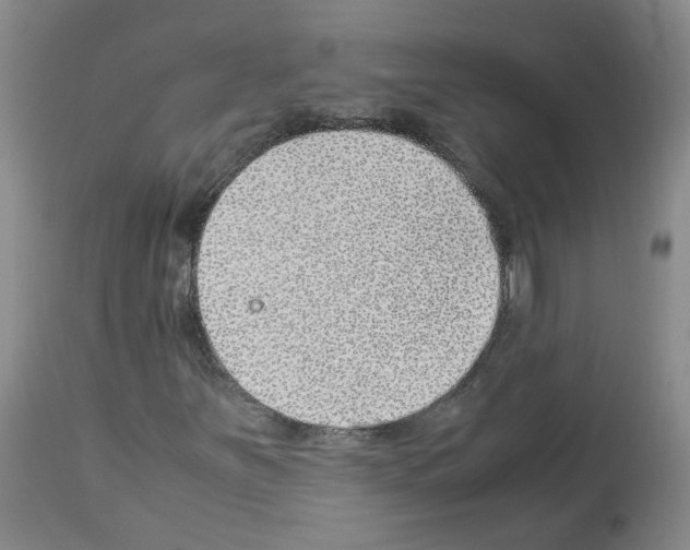 X0000114011251200911131155