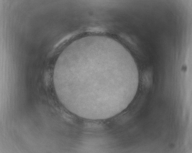 X0000114011254200911131155