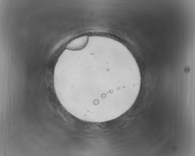 X0000114011255200911131155