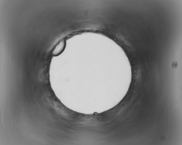 X0000114011256200911131155