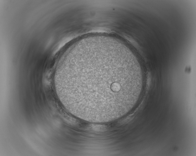 X0000114011258200911131155