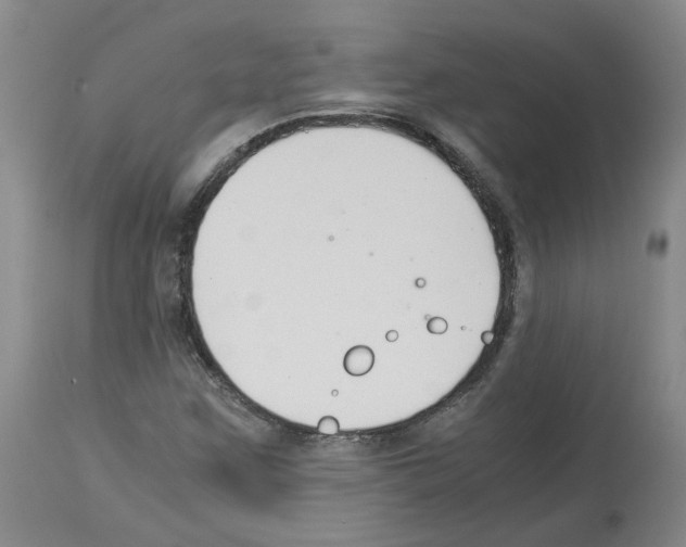 X0000114011259200911131155