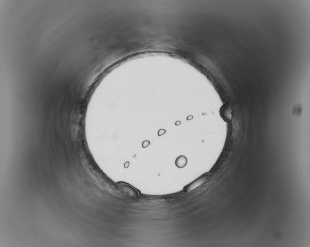 X0000114011260200911131155