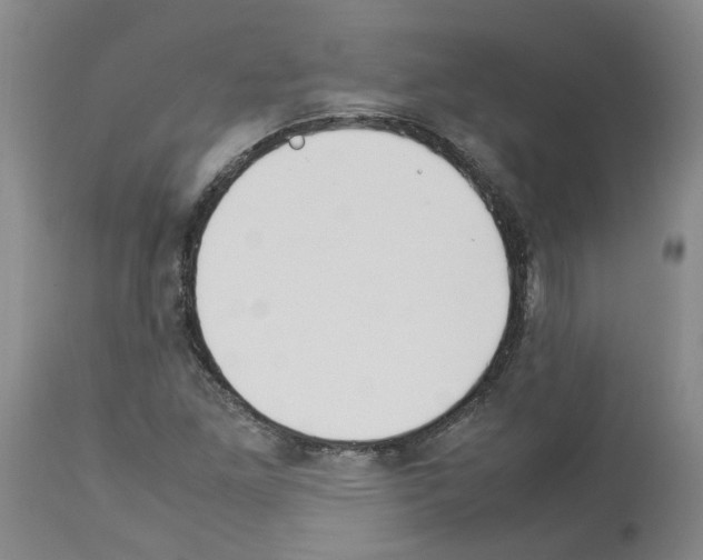 X0000114011261200911131155