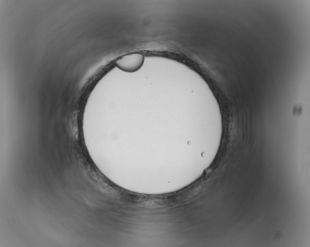 X0000114011262200911131155