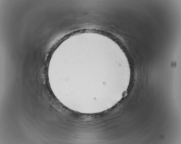 X0000114011263200911131155