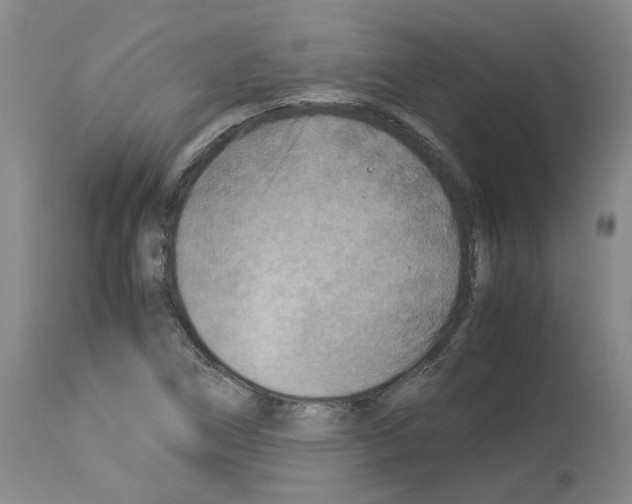 X0000114011266200911131155