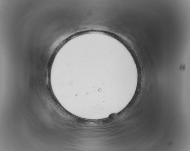 X0000114011271200911131155