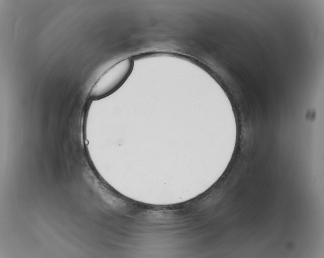 X0000114011272200911131155