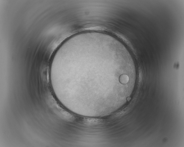 X0000114011274200911131155