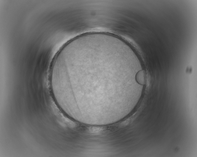 X0000114011278200911131155