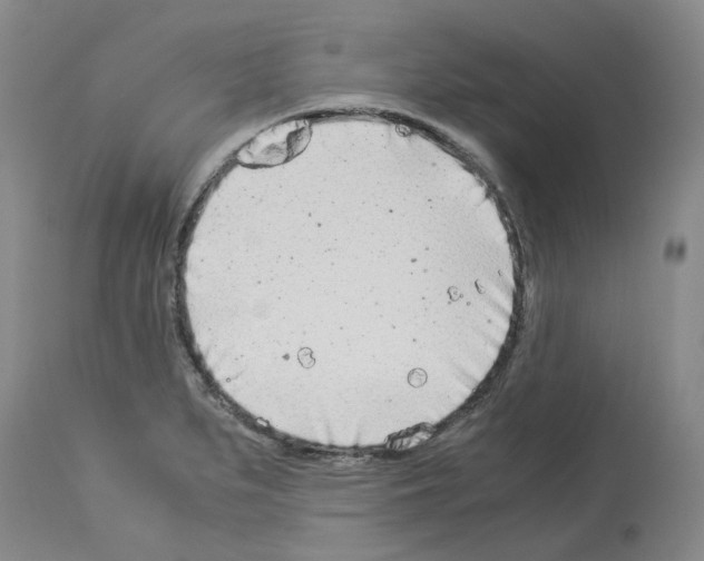 X0000114011279200911131155