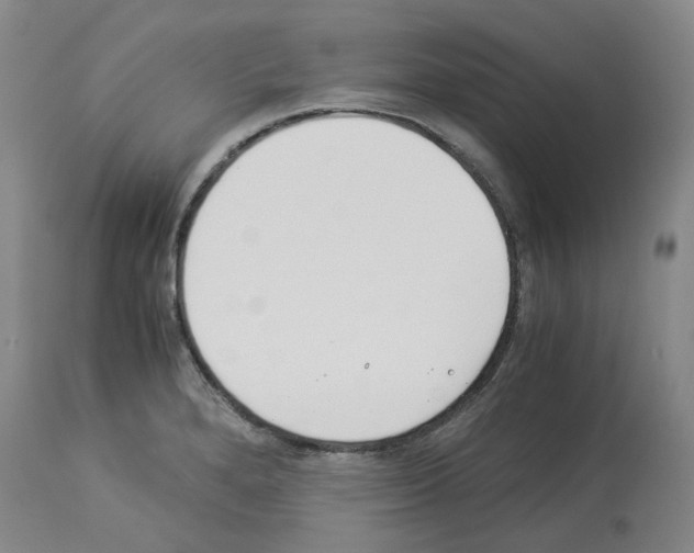 X0000114011280200911131155