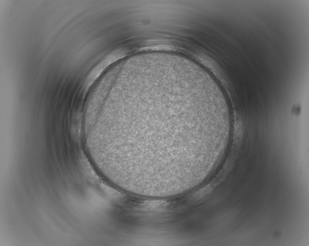 X0000114011282200911131155