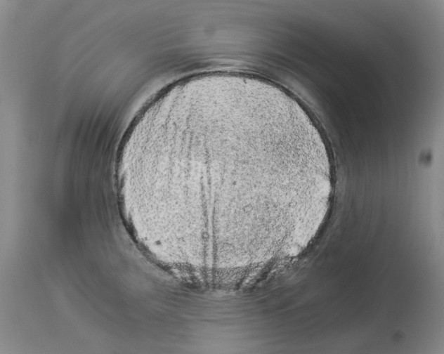 X0000114011283200911131155