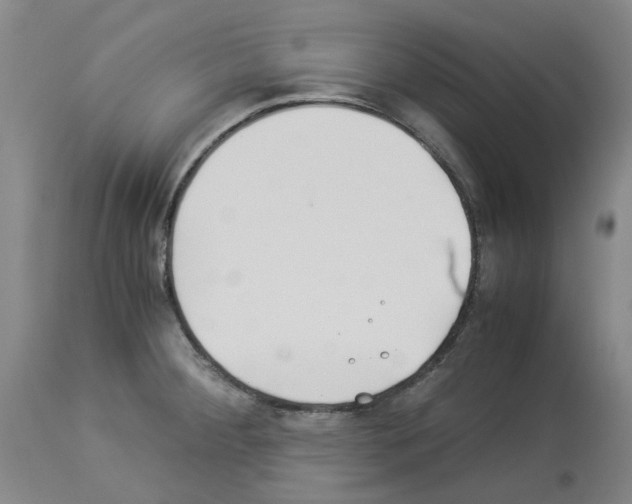 X0000114011284200911131155