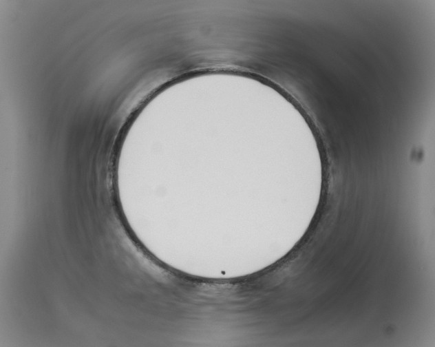 X0000114011285200911131155