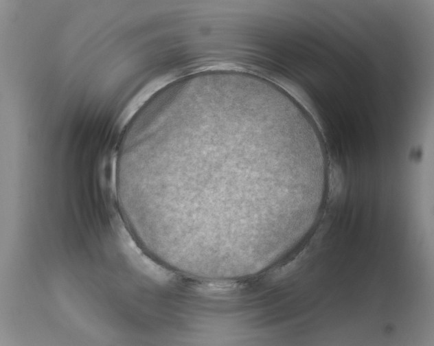 X0000114011290200911131155