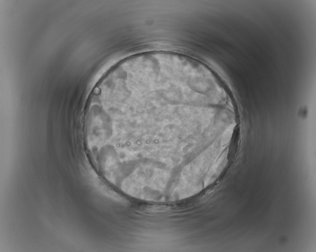 X0000114011291200911131155