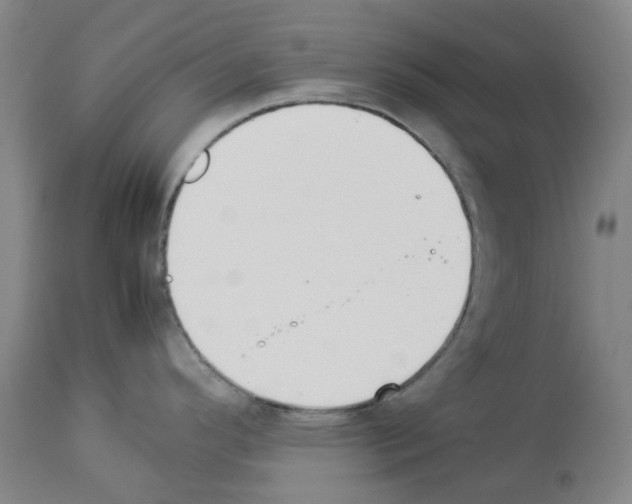 X0000114011296200911131155