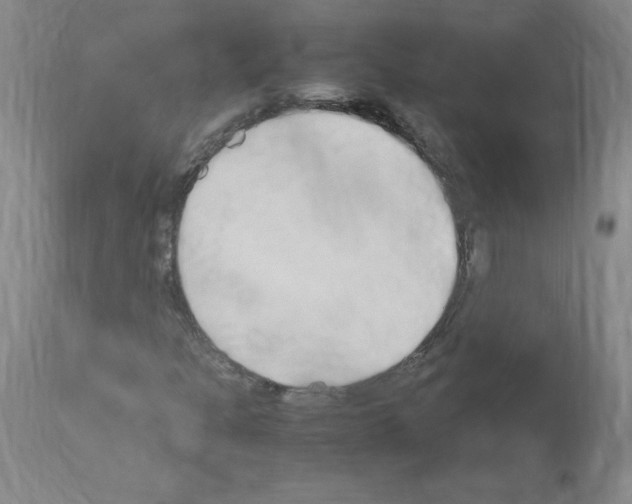 X0000114011301200911131154