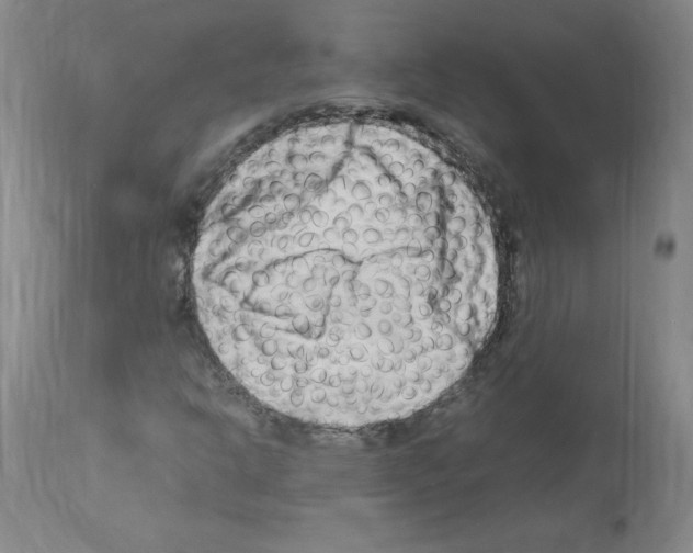 X0000114011302200911131154