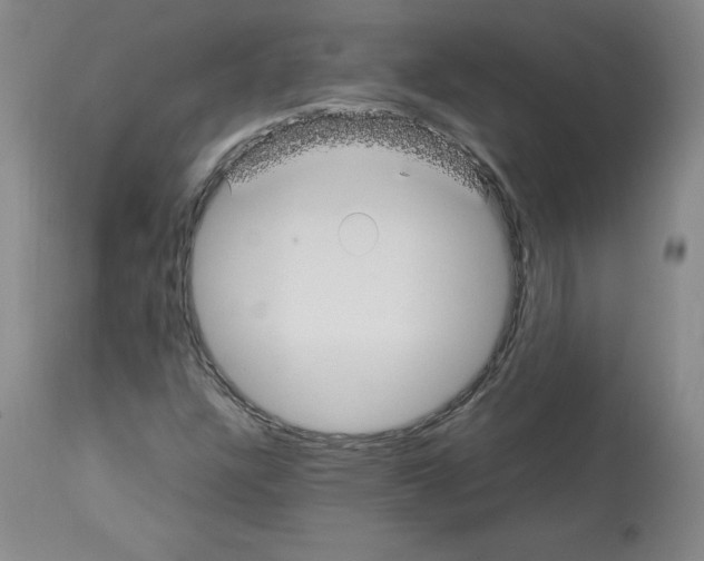 X0000114011304200911131154